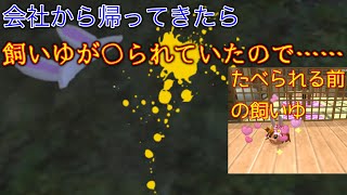 【ゆっくりにっき茶番】会社から帰ってきたら、飼いゆが〇られていたので……【ゆ虐注意】