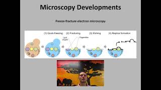 A2.2 Part 1: Cell Structure