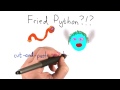 Fried Python - Intro to Computer Science