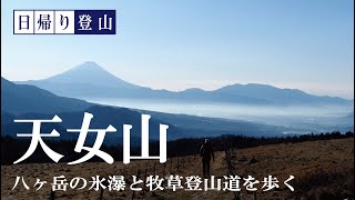 【日帰り】八ヶ岳をゆるっとハイク。美し森から天女山へ登る。12月の氷瀑と牧草登山道が見所です。