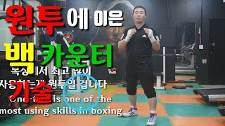 # 원투에 이은 백 카운터 기술 How to make a Back Counter-Punch  right after one-two