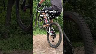 Why Wheelies Are Useful (Day 7)