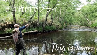 Drive FlyFishing Camp  北海道・稚内その１