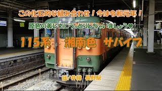 115系湘南色サバイブ　篠ノ井線　長野駅　この化石的組み合わせ！今は令和元年！