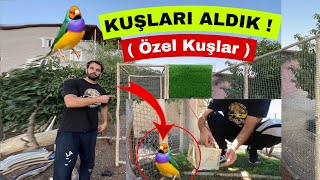 KUŞLARI ALDIK - HARİKA BİR KAFES OLDU !