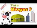 WHAT IS BIOGAS ? | Apa Itu Biogas ?