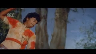Dr. Rajkumar Fights With Tiger To Save King | Huliya Halina Mevu Kannada Movie scene | M. P. Shankar