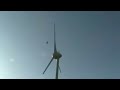 bird vs wind turbine fail