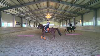 파밀리에승마장 11월 2일 오전기승 #horse #dressage #pony #horseriding