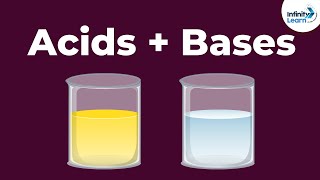 Acids and Bases - Reaction with each other | Don't Memorise