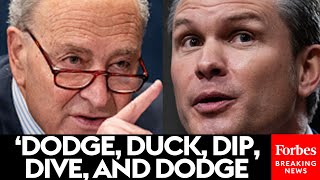 Schumer Blasts 'Woefully Unfit' Hegseth, Mocks Him For Following 'The 5 D's Of Dodgeball' In Hearing