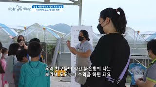 [열정 여왕과 내조 왕의 포도 농장] 시끌벅적 포도 농장의 하루