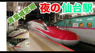 【発車メロディー 青葉城恋唄】夜の仙台駅を発着する新幹線たち