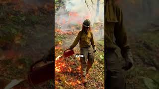 Why Firefighters Deliberately Start Forest Fires! 🔥🧯