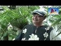 JULA JULI JOMBANGAN | CAK BOWO | CHANDISC