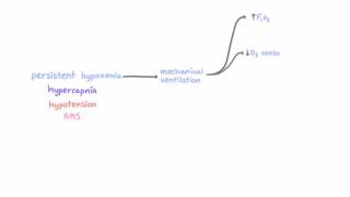 Mechanical ventilation - indications and risks