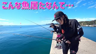 【超激レア魚】いつもの堤防で突然釣れた宝石のような魚にメンバー感激！(Vol.615)