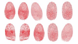 Individual Characteristics of Fingerprints