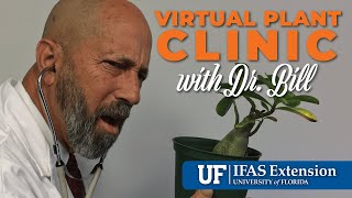 The Virtual Plant Clinic With Dr. Bill February 27, 2025