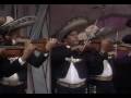 Mariachi Vargas de Tecalitlan - Violin Huapango