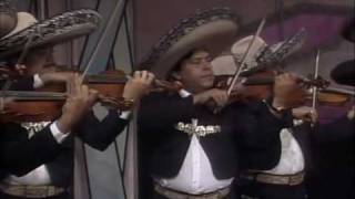 Mariachi Vargas de Tecalitlan - Violin Huapango