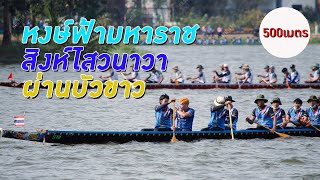 ขอบตลิ่งเรือยาว | หงษ์ฟ้ามหาราช vs ผ่านบัวขาว vs สิงห์ไสวนาวา | 40 ฝีพาย ชิงแชมป์ประเทศไทย ปี 2564