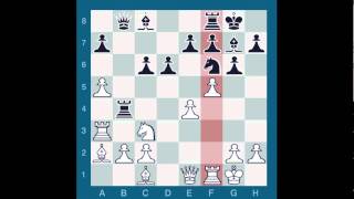 ChessMaster GME: Afek Y. Vs Waitzkin J.