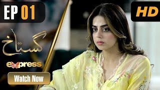 Pakistani Drama | Gustakh - Episode 1 | Faryal Mehmood , Faysal Quraishi | ET1 | Express TV Dramas