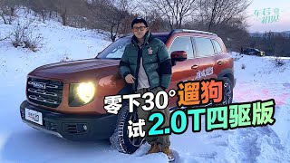 试完2 0T四驱版的哈弗大狗 说几个你们没发现的感受【车若初见】