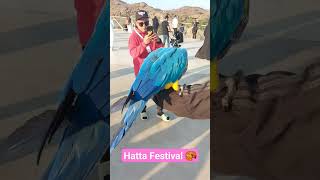 Hatta cultural night #shorts #youtubeshorts #trending #viral #dubailife #dubai #luxurycars