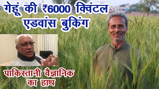 अनोखी तकनीक से उगाया गेहूं, ₹6000 क्विंटल बिकता है Pure Natural || Technical Farming ||