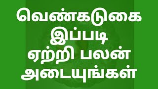 வெண்கடுகை இப்படி ஏற்றி பலன் அடையுங்கள்  . Burn venkadugu like this  .