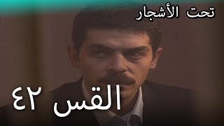 مسلسل سنوات الضياع | الحلقة 42 | مدبلج | Ihlamurlar Altında