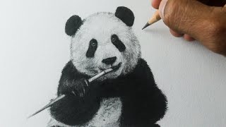 Como desenhar um Urso Panda PASSO A PASSO narrado