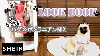 【SHEIN】わんこLook Book...by ANKO