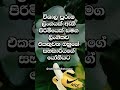 உங்களால் கற்பனை கூட செய்ய முடியாது 😐 குறும்படங்கள் கல்வி உண்மைகள்