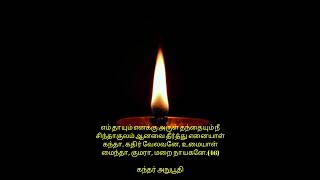 எம் தாயும் எனக்கு அருள் தந்தையும் நீசிந்தாகுலம் ஆனவை தீர்த்து எனையாள்கந்தா, கதிர் வேலவனே,(46)