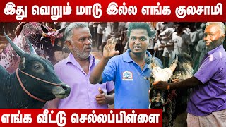 காளையால் பேரும் புகழும் கிடைச்சிருக்கு | எங்க வீட்டு செல்லப்பிள்ளை | JALLIKATTU 2025 | AADHAN NEWS