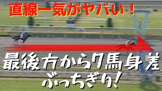 【エルコンドルパサー】凱旋門賞で実績を残す名馬の新馬戦 直線一気で圧勝【競馬】