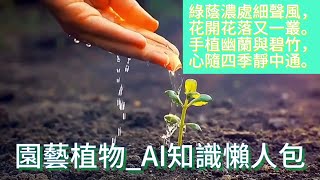 【平民收藏家阿宗】part63 園藝植物 ornamental plants 居家植物 openAI學習生成 CHATGPT 剪映 園藝植物行情 收藏園藝植物 藏品知識 #漲知識 #園藝