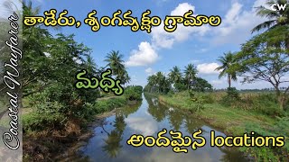 'Taderu to Srungavruksham' Beautiful Views | Telugu Countryside | Coastal Wayfarer | #countryside