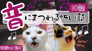 【怖い話】【猫動画】【猫が語る不思議な話】怪談ねこ語り　音にまつわる怖い話１０話