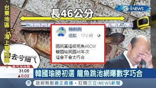 有這麼巧嗎？韓國瑜勝初選後...龍魚跳池網鋪曝數字巧合！｜記者邱筱茜 胡克強｜【台灣要聞。先知道】20190717｜三立iNEWS