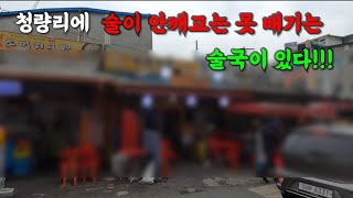 청량리역 근처 술이 안깨고는 못 배기는 술국이 있다!!!!