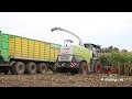 silage with claas jaguar 940 and 6x fendt vario ensilage maïs 2013 x.schoonbroodt