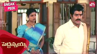 Balakrishna as a loving brother | Peddannayya | Telugu | Roja | Indraja | SUN NXT