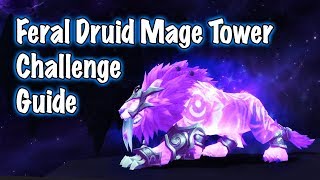 Feral Druid Mage Tower Artifact Challenge (Jessiehealz)