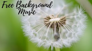 background meditation music | background music| binaural beats | calming music | chakra@DS