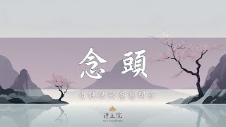 【淨土院】自誠法師開示-念頭