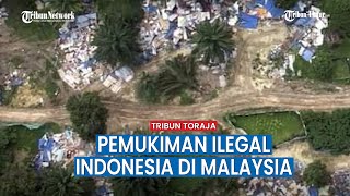 Kampung Ilegal Warga Indonesia di Hutan Malaysia, Langsung Digusur dan Penghuninya Ditahan